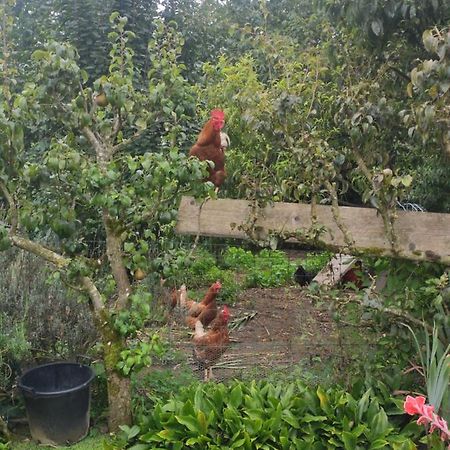 Bienvenue Chez Joelle Et Andre Au 207 Bed & Breakfast Balaze ภายนอก รูปภาพ