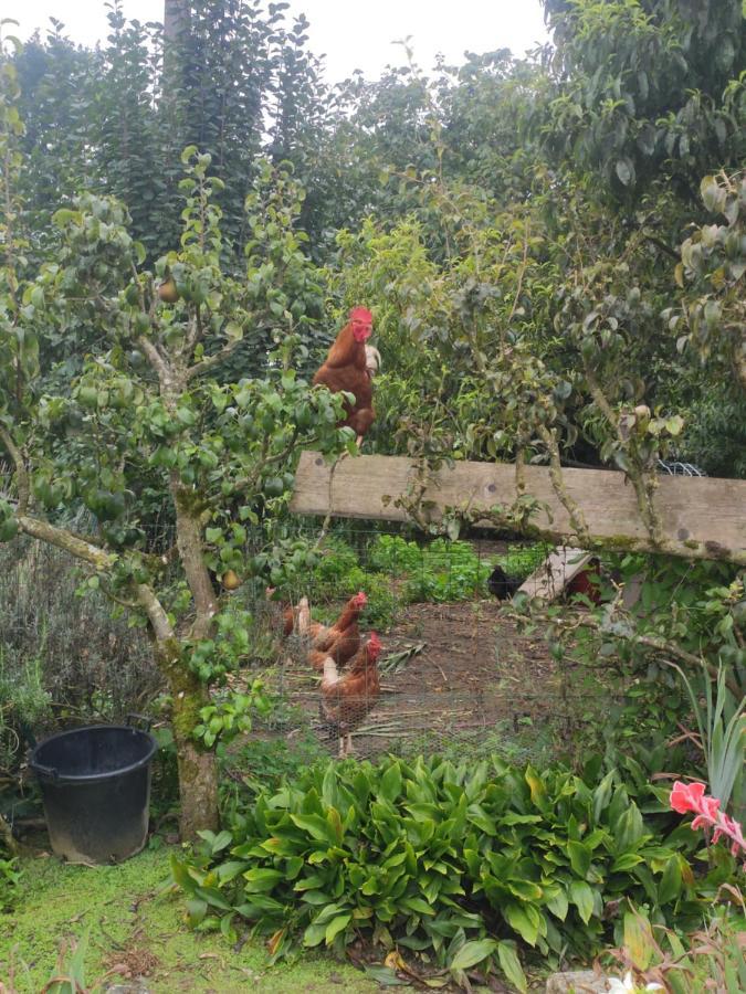 Bienvenue Chez Joelle Et Andre Au 207 Bed & Breakfast Balaze ภายนอก รูปภาพ